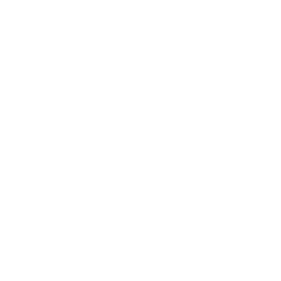 AI Icon