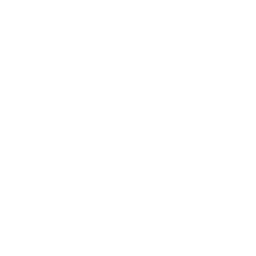 AWS Icon