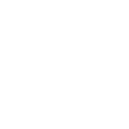 CSS Icon
