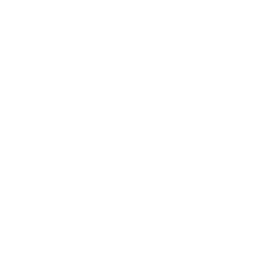 Figma Icon