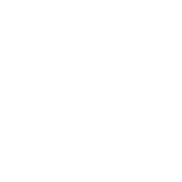 Website Analytics Icon