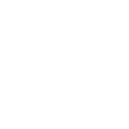 HTML Icon