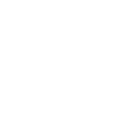 PHP Icon