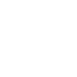 SQL Icon